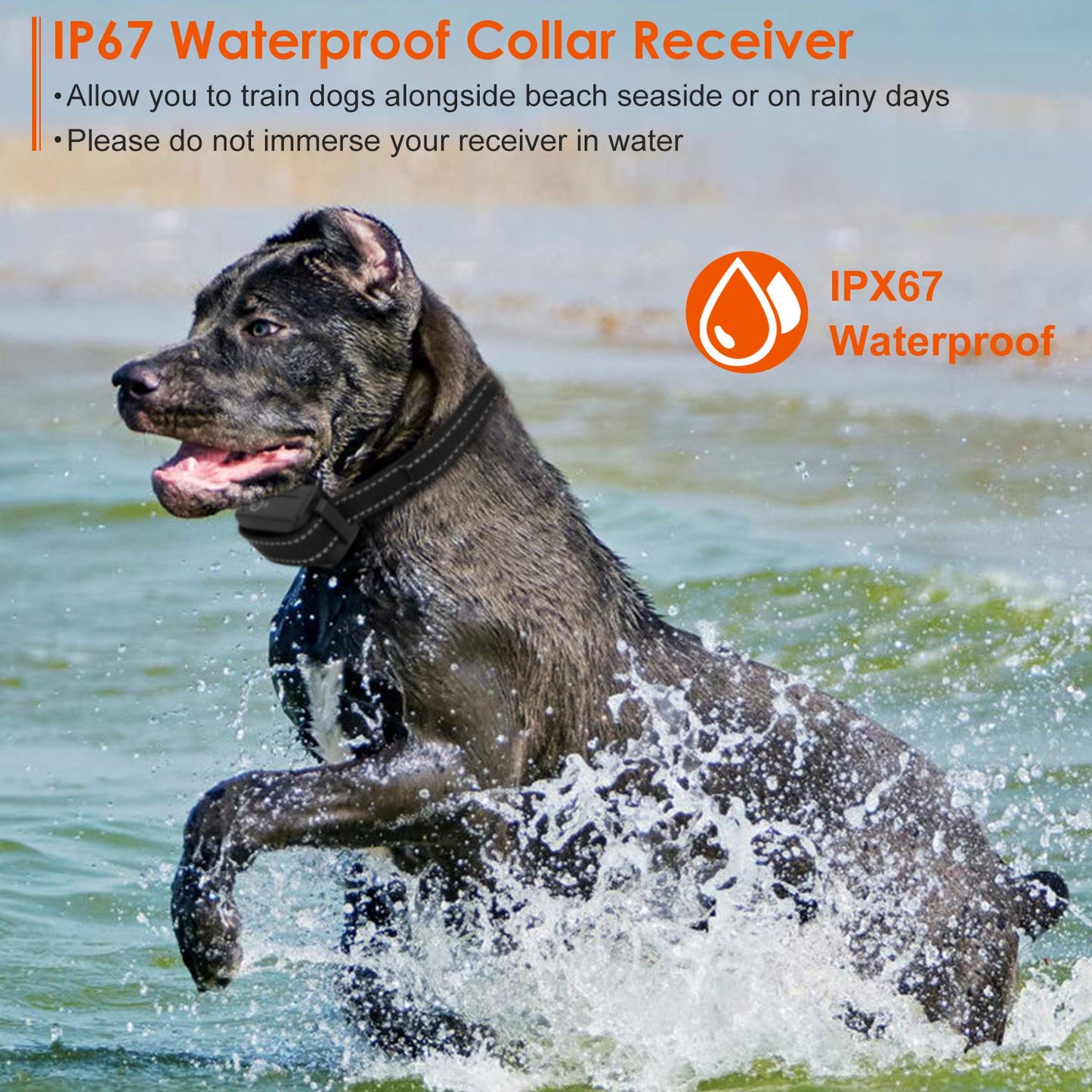 3280FT Dog Training Collar IP67 Waterproof Rechargeable Pet Trainer Beep, Vibration & Shock 3 Channels with Flashlight – Collar or Receiver Only