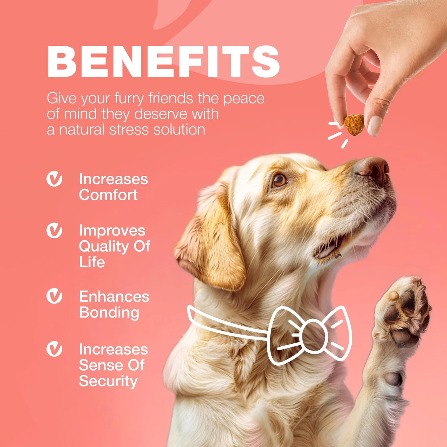 Natural Dog Supplement Soft Chews – Immune Support, Skin & Coat Health, Daily Wellness Treats for Dogs of All Sizes