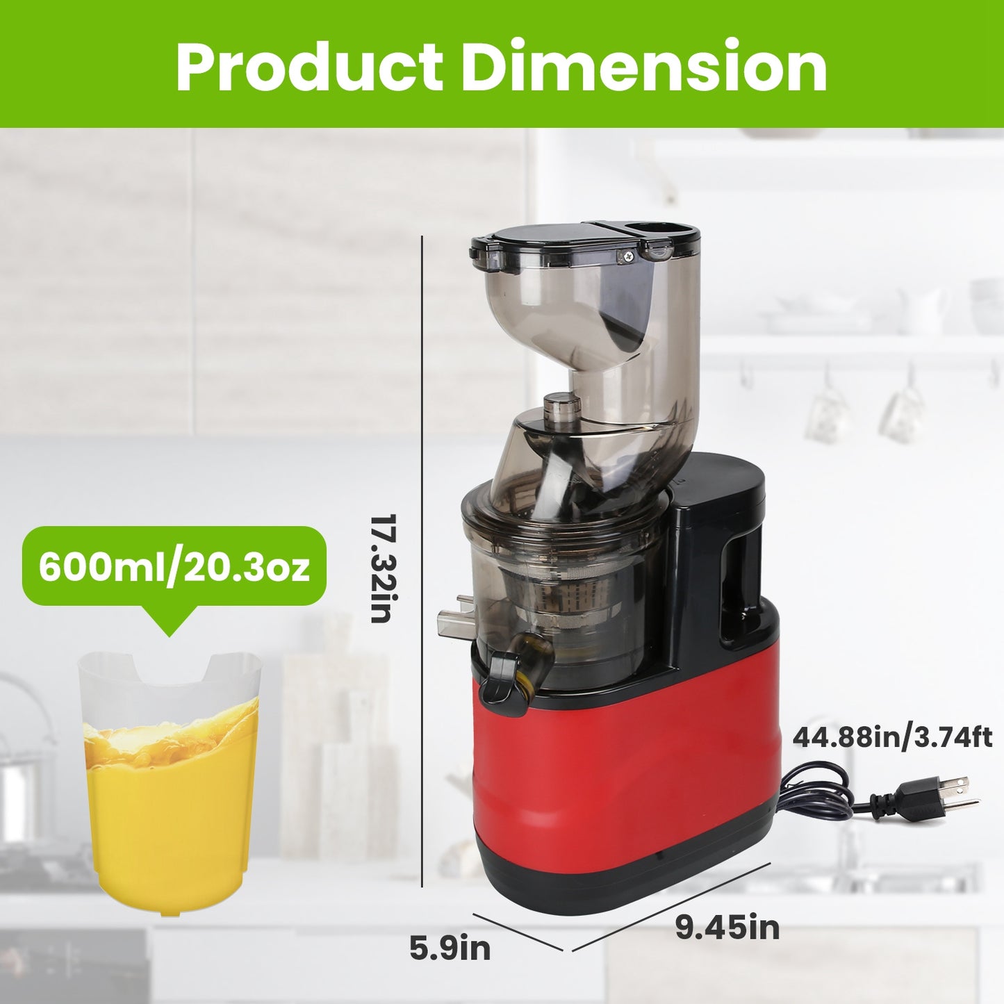 300W Cold Press Slow Juicer Machine With Reverse Function & 2 Containers