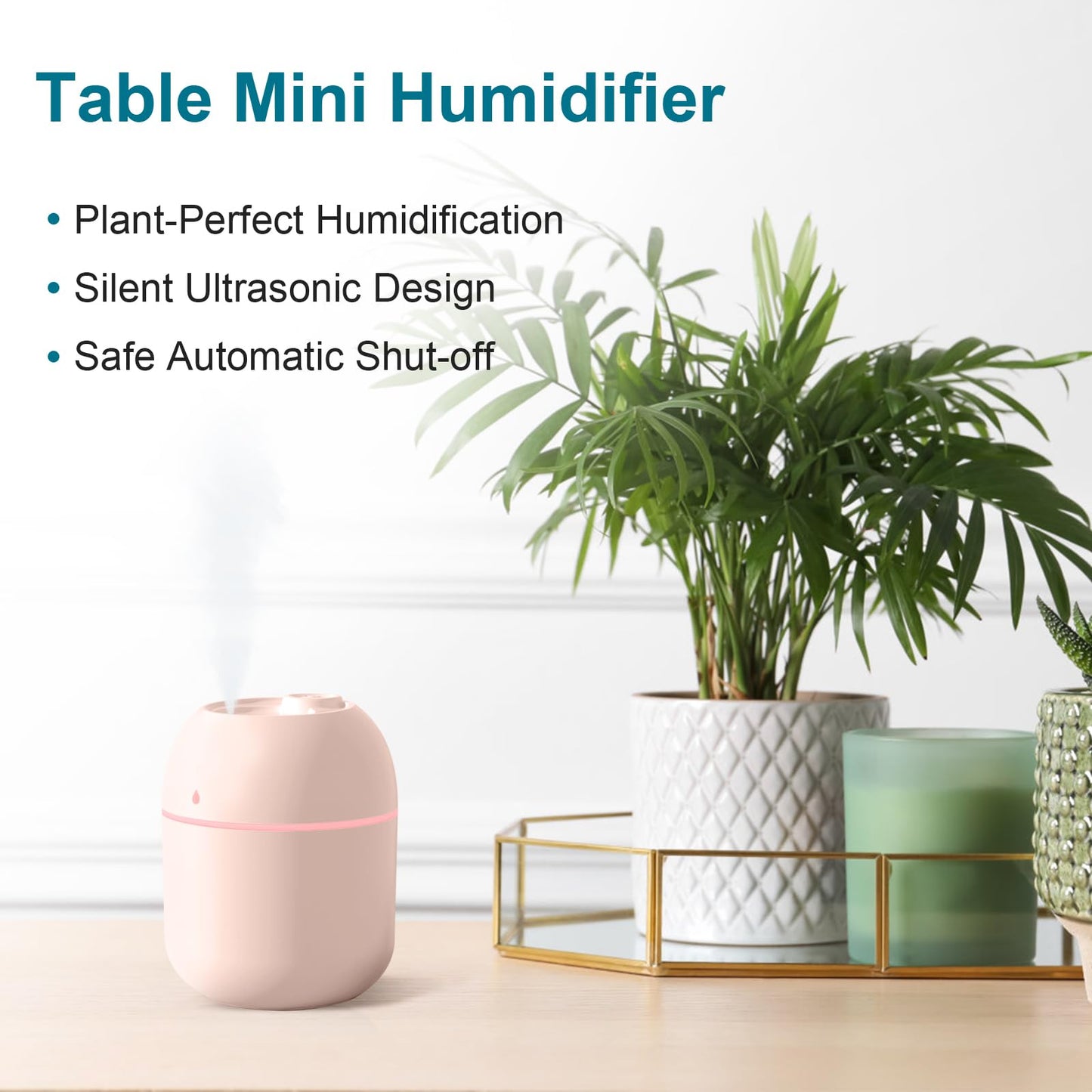 Portable Mini Cool Mist Humidifier 220ml USB Desktop
