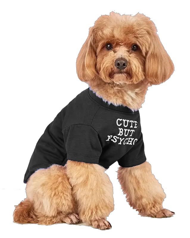 Pet T-Shirt – Round Neck Casual Tee for Dogs & Cats