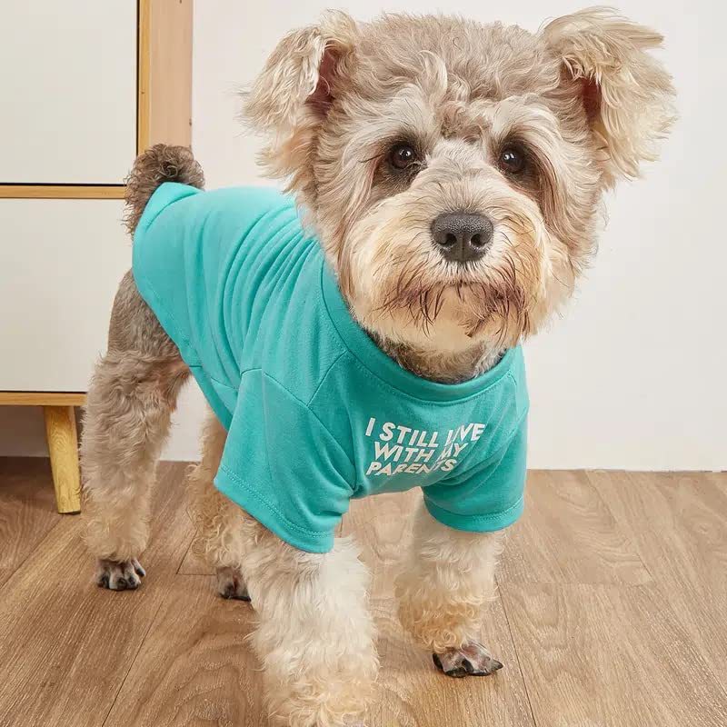 Pet T-Shirt – Round Neck Casual Tee for Dogs & Cats