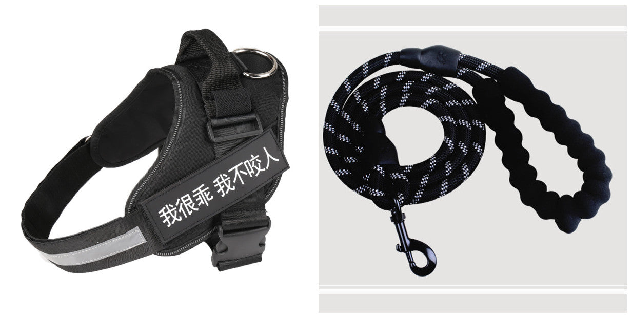 Fashion Pet Leash & Chest Harness Set – Adjustable Dog Walking Gear