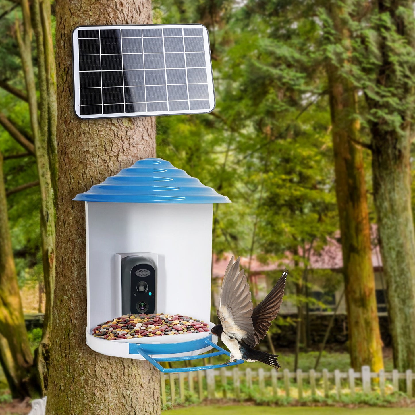 Smart Solar Bird Feeder with 1080P HD AI Camera, Motion Detection, WiFi App Control, Cloud & SD Storage, IP65 Waterproof
