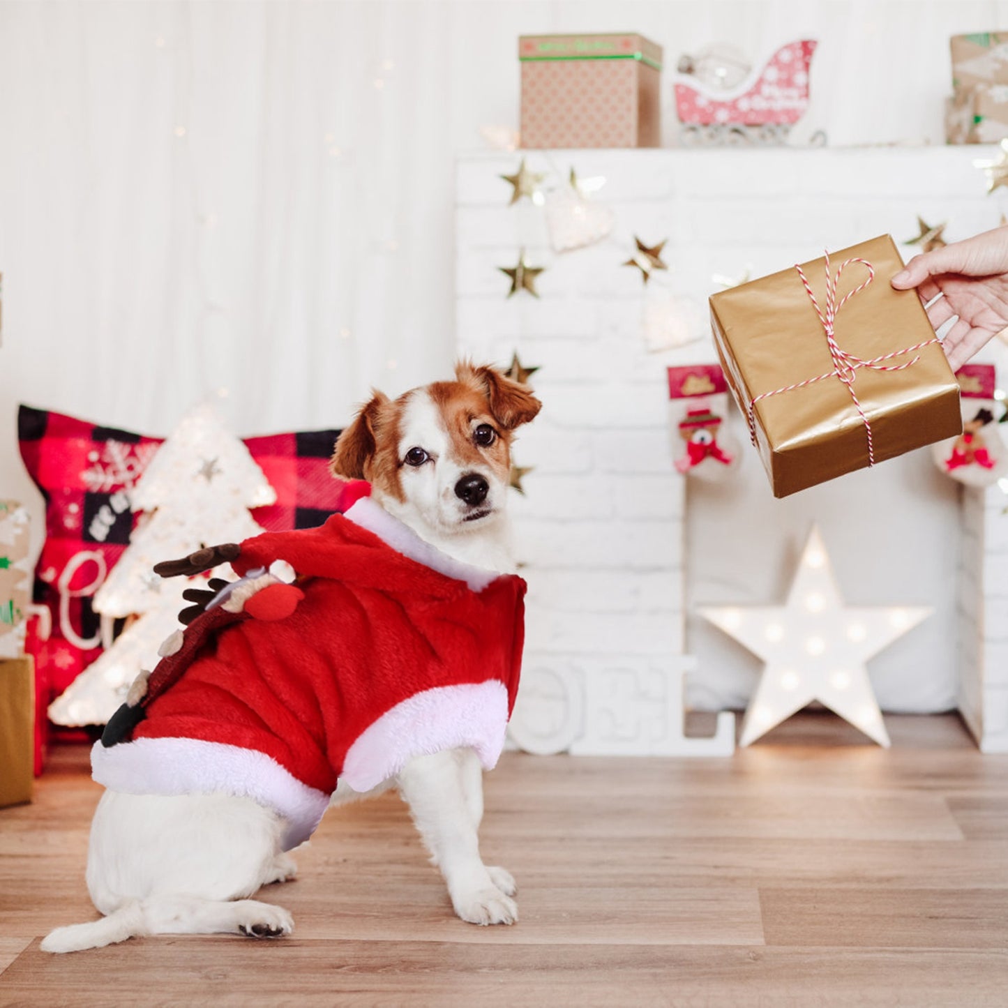 Pet Christmas Costume – Santa & Reindeer Winter Outfit for Small & Medium Dogs and Cats
