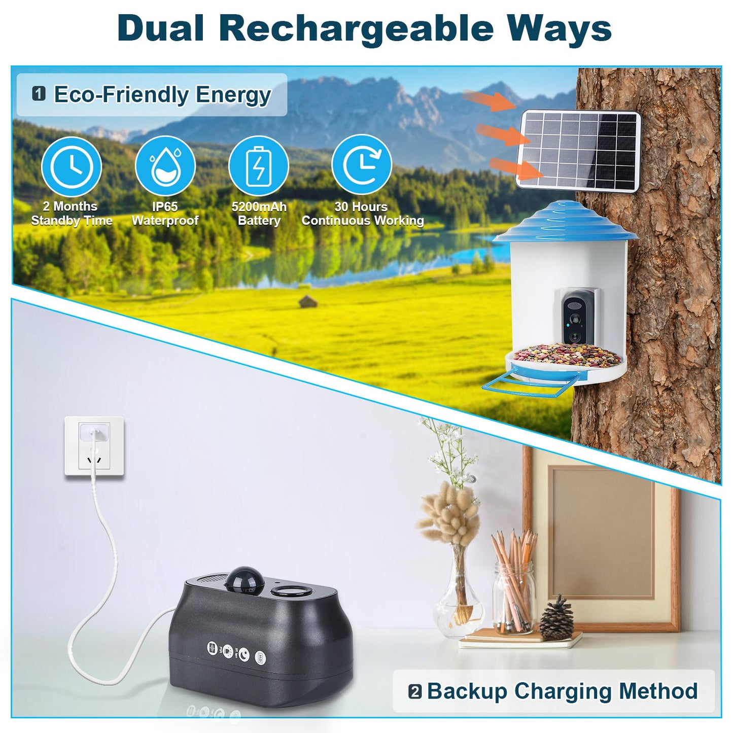 Smart Solar Bird Feeder with 1080P HD AI Camera, Motion Detection, WiFi App Control, Cloud & SD Storage, IP65 Waterproof