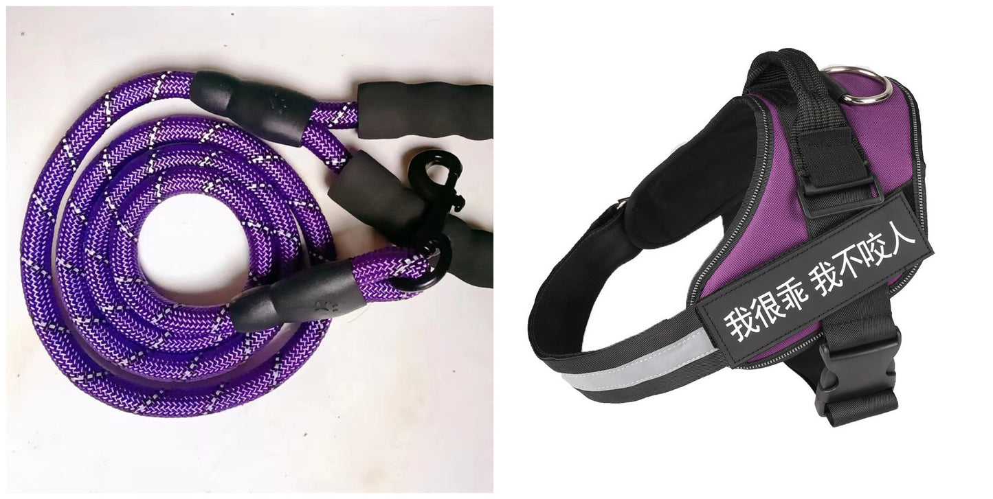 Fashion Pet Leash & Chest Harness Set – Adjustable Dog Walking Gear