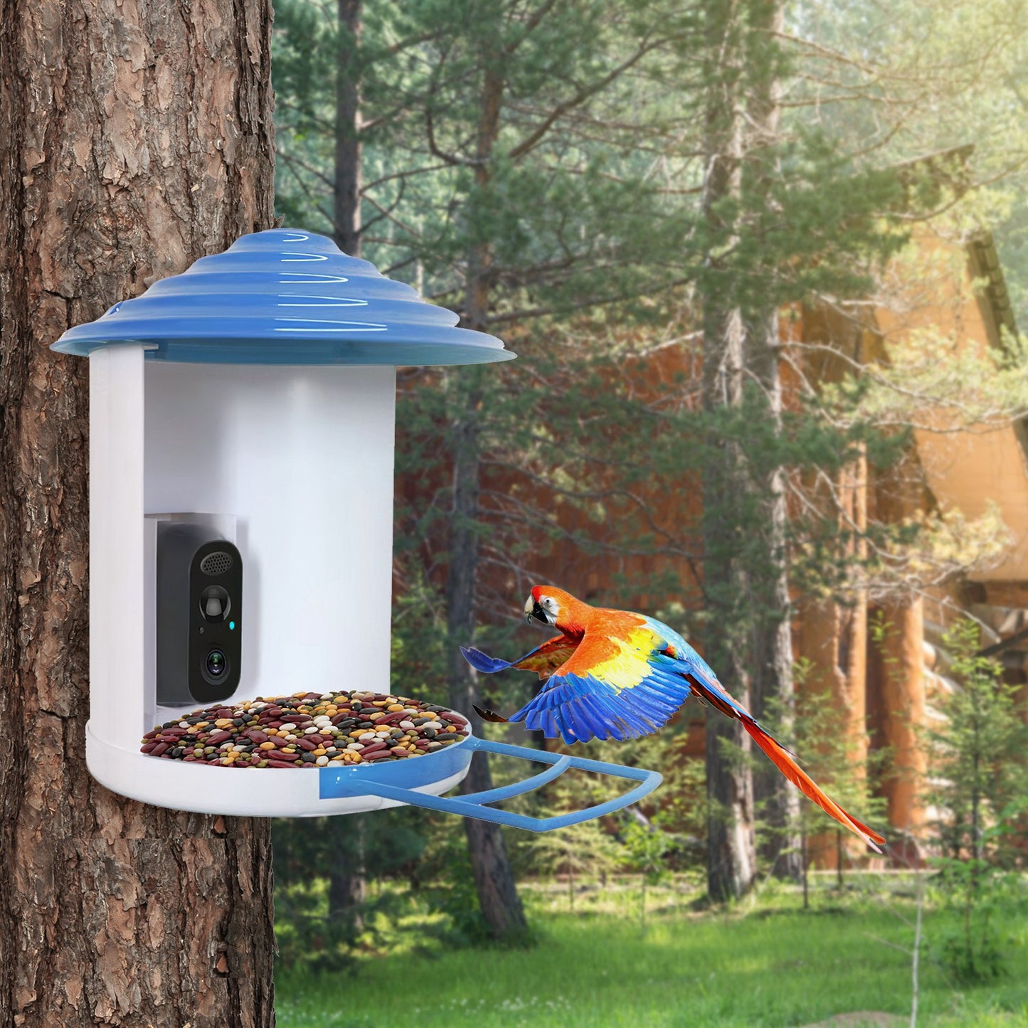 Smart Solar Bird Feeder with 1080P HD AI Camera, Motion Detection, WiFi App Control, Cloud & SD Storage, IP65 Waterproof