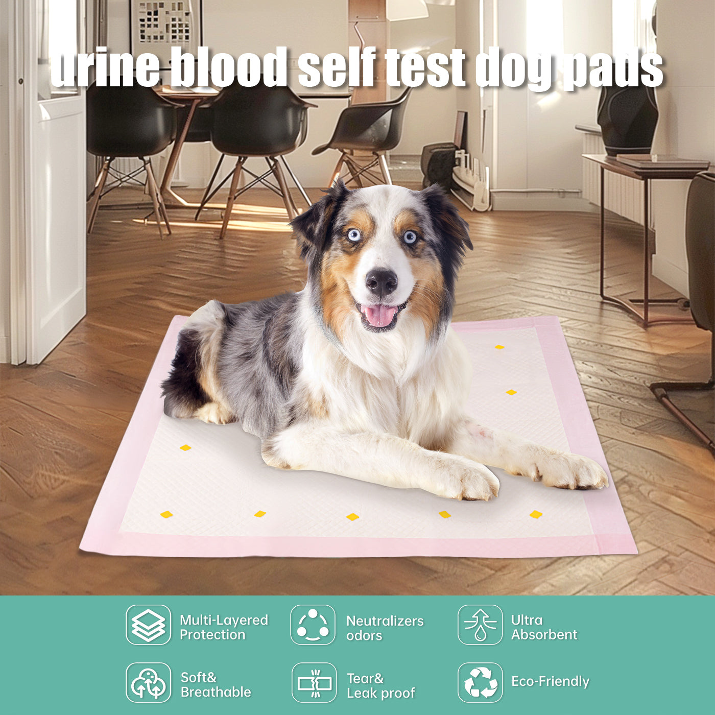 Dog Urine Detection Training Pad