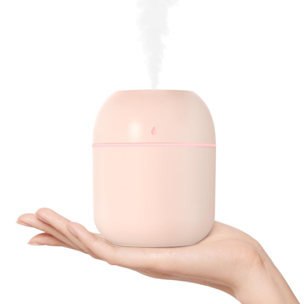 Portable Mini Cool Mist Humidifier 220ml USB Desktop
