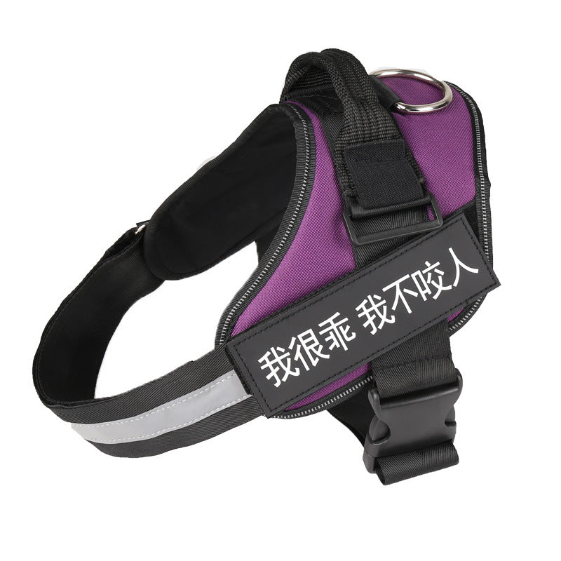 Fashion Pet Leash & Chest Harness Set – Adjustable Dog Walking Gear