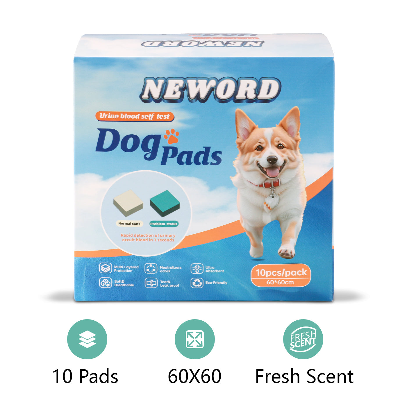 Dog Urine Detection Training Pad