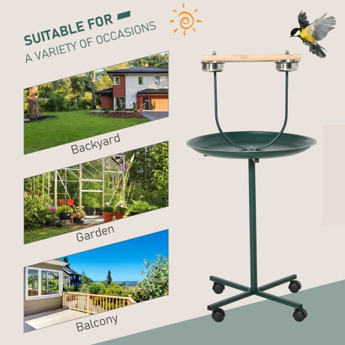 Bird Training Playground with Rolling T-Bracket & Perch – Interactive Activity Toy