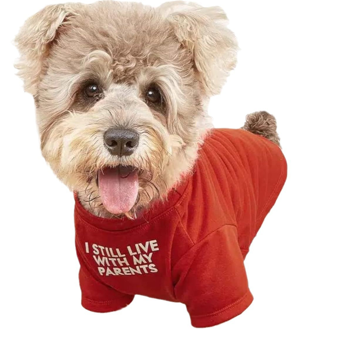 Pet T-Shirt – Round Neck Casual Tee for Dogs & Cats