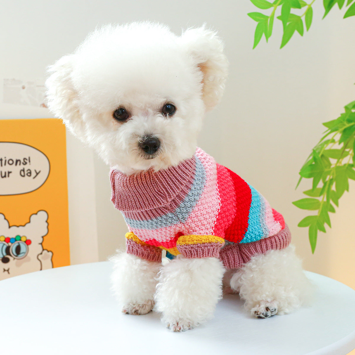 Colorful Striped Pet Sweater – Cozy & Comfortable Knit for Dogs & Cats