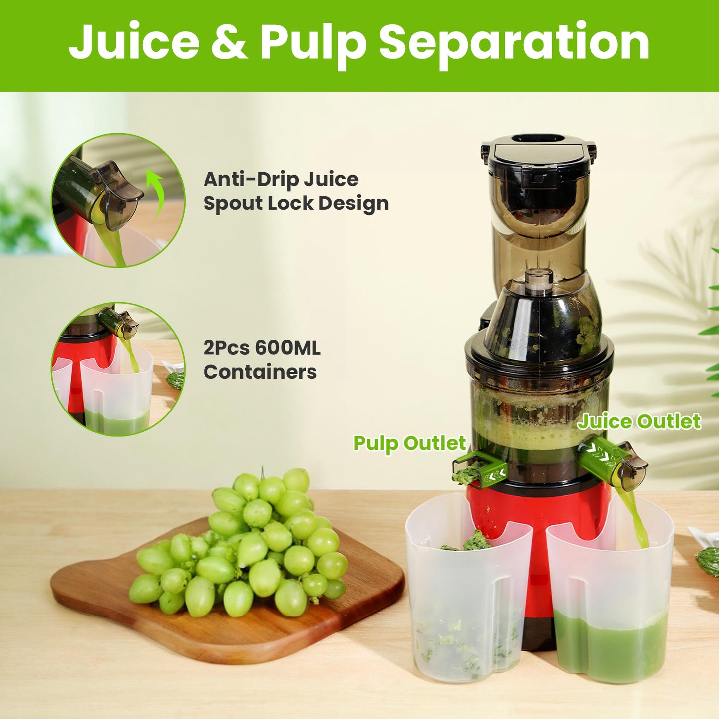 300W Cold Press Slow Juicer Machine With Reverse Function & 2 Containers