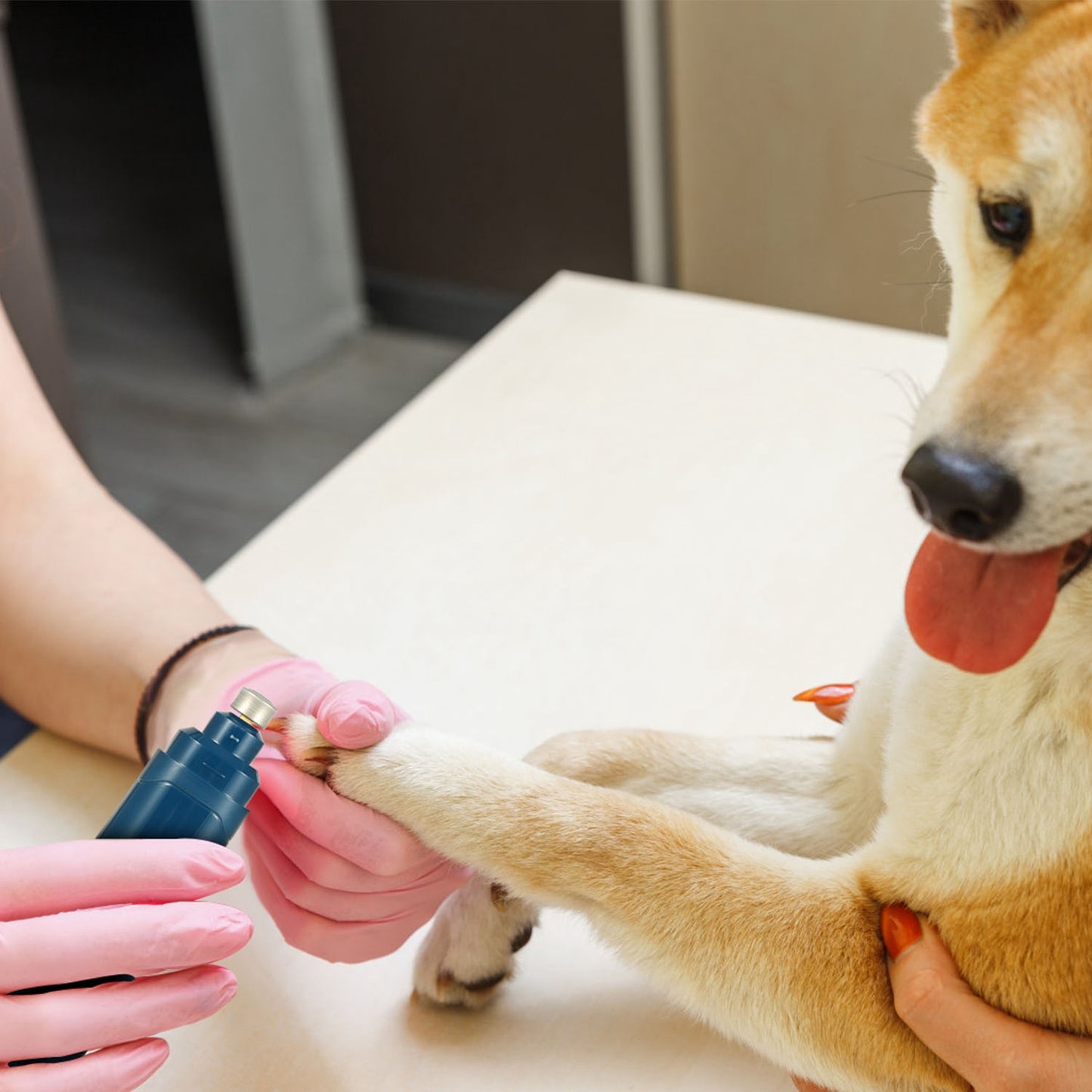 Pet Nail Grinder – 2 Speeds USB Rechargeable for Dogs & Cats