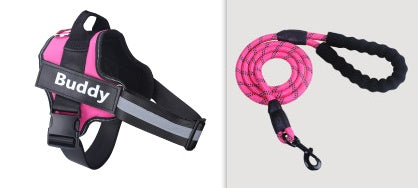 Fashion Pet Leash & Chest Harness Set – Adjustable Dog Walking Gear